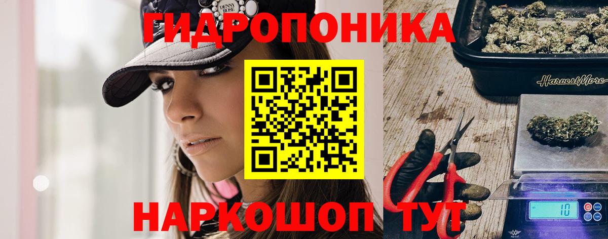 Шишки марихуана ГИДРОПОН Абакан